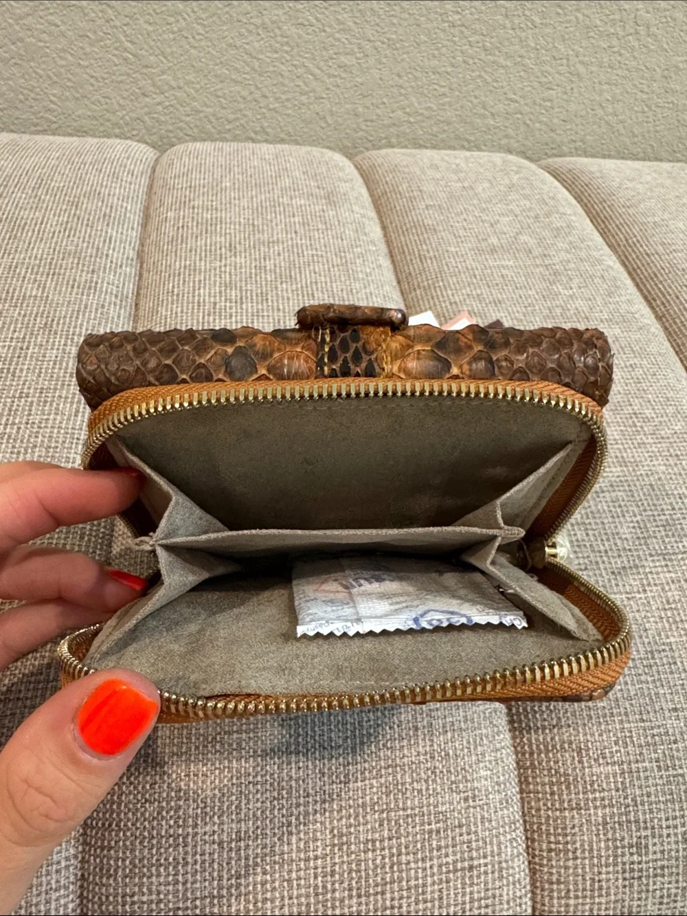 Grand pelle brown exotic
